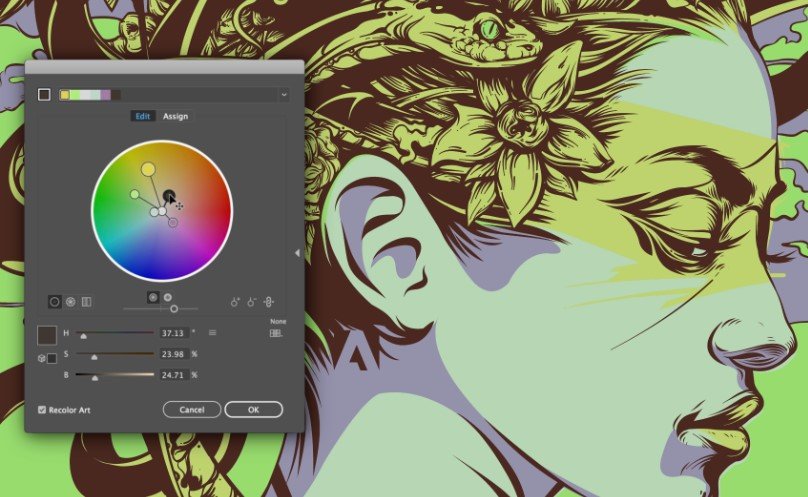 Adobe Illustrator Creative Cloud